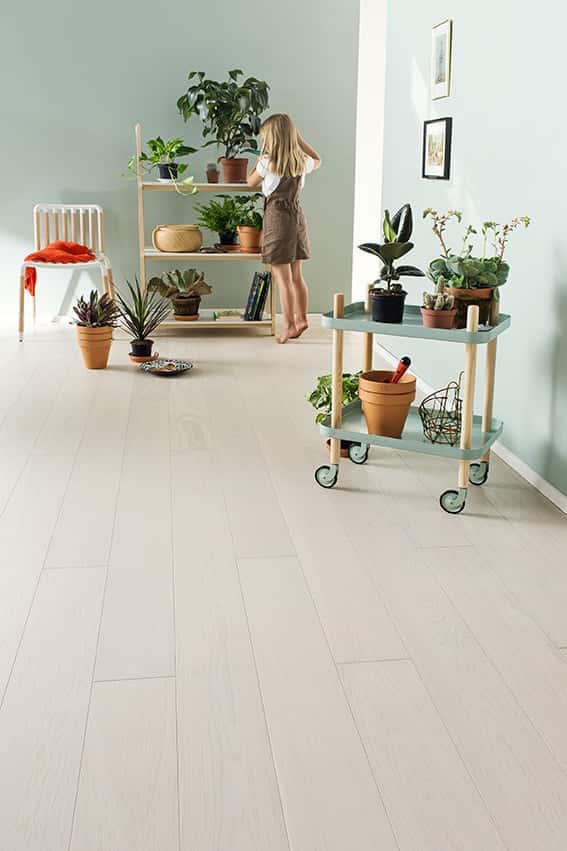 Timberwise - White Cream